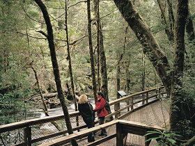 Franklin River Nature Trail - Surfers Gold Coast 0