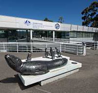 Australia's Antarctic Headquarters - Surfers Gold Coast