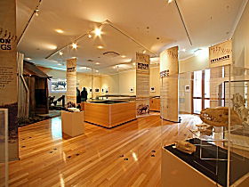 Tasmanian Tiger Exhibition - Surfers Gold Coast 0