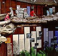 West Coast Visitor Information and Booking Centre - Surfers Gold Coast