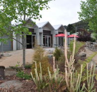 Tin Dragon Interpretation Centre and Cafe - Surfers Gold Coast