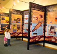 Platypus Experience - Surfers Gold Coast