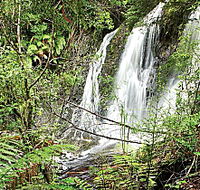 Hogarth Falls - Surfers Gold Coast