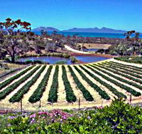 Kate's Berry Farm - Surfers Gold Coast