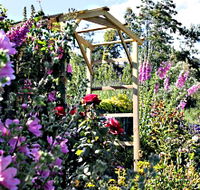 Thelma Retreat Garden and Teahouse - Surfers Gold Coast