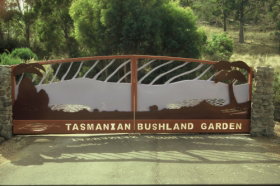 Buckland TAS Surfers Gold Coast