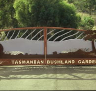 Tasmanian Bushland Garden - Surfers Gold Coast