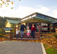 Australian Axeman's Hall of Fame - Surfers Gold Coast