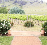 Brindabella Hills Winery - Surfers Gold Coast