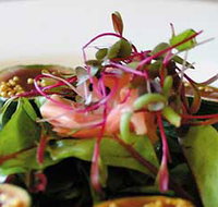 Courgette - Surfers Gold Coast