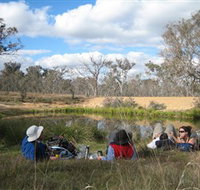 Canberra Nature Park - Surfers Gold Coast