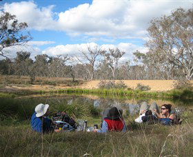 Canberra Nature Park - Surfers Gold Coast 0
