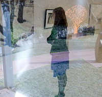 Beaver Galleries - Surfers Gold Coast