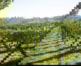 Surveyor's Hill Vineyards - Surfers Gold Coast 0