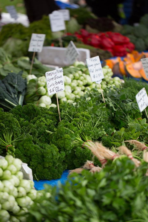 Salamanca Market - Surfers Gold Coast 5