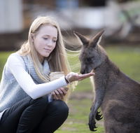 Bonorong Wildlife Sanctuary - Surfers Gold Coast