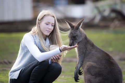 Bonorong Wildlife Sanctuary - Surfers Gold Coast 0