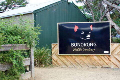 Bonorong Wildlife Sanctuary - Surfers Gold Coast 1