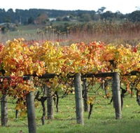 Apsley Gorge Vineyard - Surfers Gold Coast