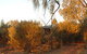 Uluru-Kata Tjuta Cultural Centre - thumb 0