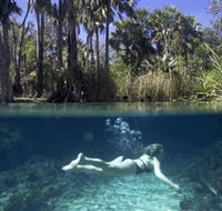 Bitter Springs - Surfers Gold Coast