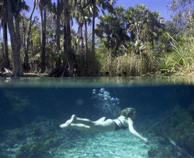 Bitter Springs - Surfers Gold Coast 0