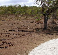 Wurrwurrwuy Garanhan Macassan Beach Interpretive Walk - Surfers Gold Coast
