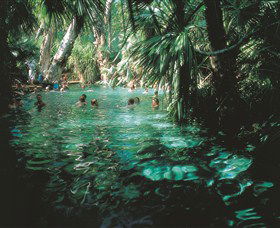 Mataranka Thermal Pool - Surfers Gold Coast 0