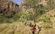 Jatbula Trail - thumb 0