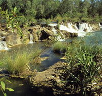 Flora River Nature Park - Surfers Gold Coast