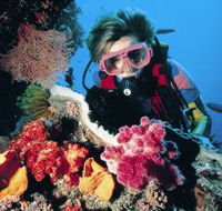 Cook Island Dive Site - Surfers Gold Coast