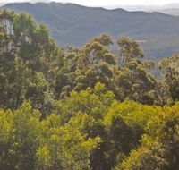 Conondale National Park - Surfers Gold Coast