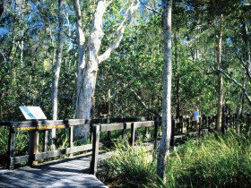 Noosa Heads QLD Surfers Gold Coast