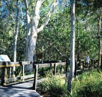 Kinaba Track - Surfers Gold Coast