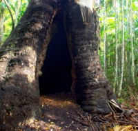Tewantin National Park - Surfers Gold Coast