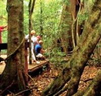 Mary Cairncross Scenic Reserve - Surfers Gold Coast