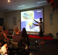 Reef Teach - Surfers Gold Coast
