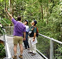 Daintree Discovery Centre - Surfers Gold Coast