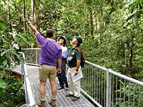Daintree Discovery Centre - Surfers Gold Coast 0