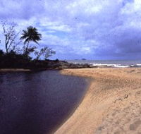 Russell River National Park - Surfers Gold Coast