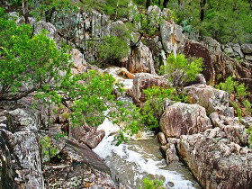 Crows Nest National Park - Surfers Gold Coast 0