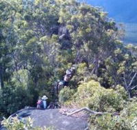 Mia Mia State Forest - Surfers Gold Coast