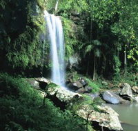 Curtis Falls Joalah Section - Surfers Gold Coast