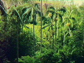 Monto QLD Surfers Gold Coast