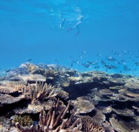 Australian Institute of Marine Science - Surfers Gold Coast
