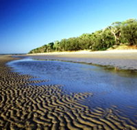 Burrum Coast National Park - Surfers Gold Coast