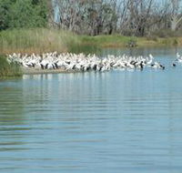 Lake Ross - Surfers Gold Coast