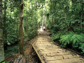 Malanda QLD Surfers Gold Coast