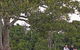 Ravensbourne National Park - thumb 0