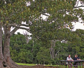 Ravensbourne National Park - Surfers Gold Coast 0